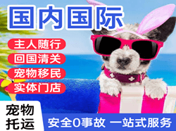 长水机场快递国际宠物托运 【国